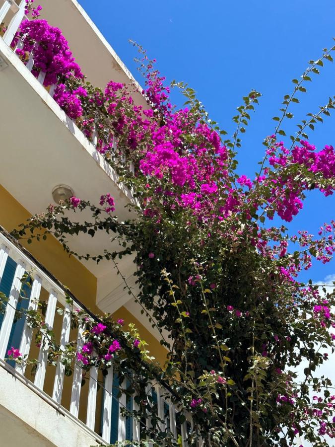 B&B Mi Ma Bo, Sal Rei, Boa Vista, Cape Verde, Free Wi-Fi Eksteriør bilde