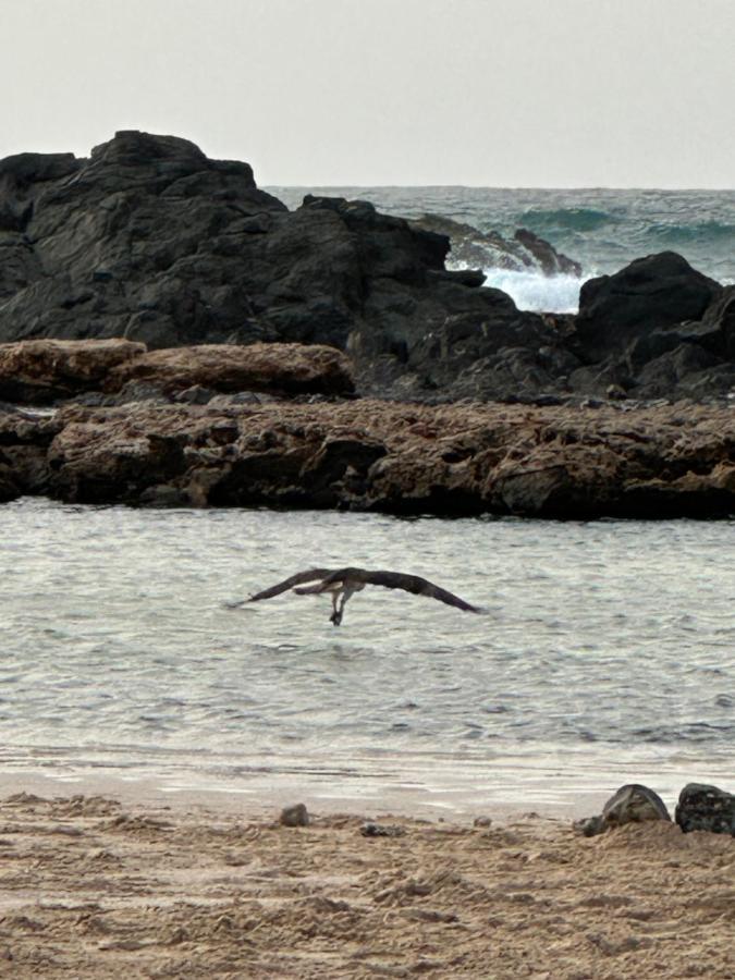 B&B Mi Ma Bo, Sal Rei, Boa Vista, Cape Verde, Free Wi-Fi Eksteriør bilde