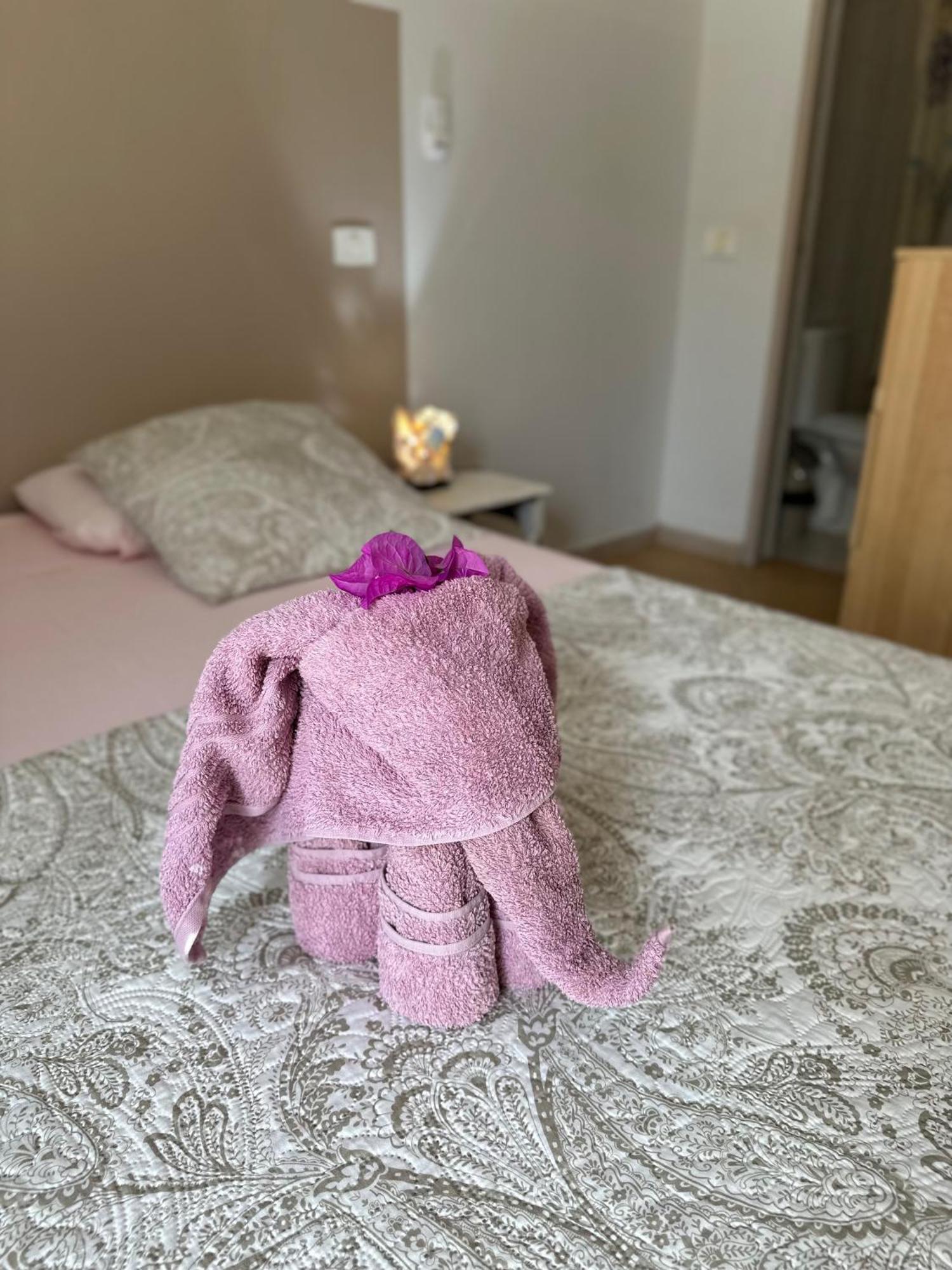B&B Mi Ma Bo, Sal Rei, Boa Vista, Cape Verde, Free Wi-Fi Eksteriør bilde
