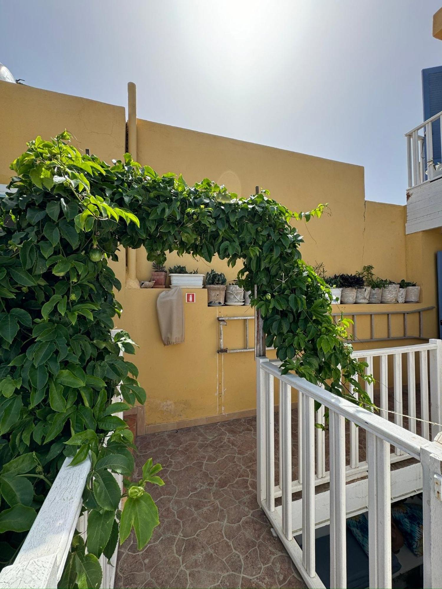 B&B Mi Ma Bo, Sal Rei, Boa Vista, Cape Verde, Free Wi-Fi Eksteriør bilde
