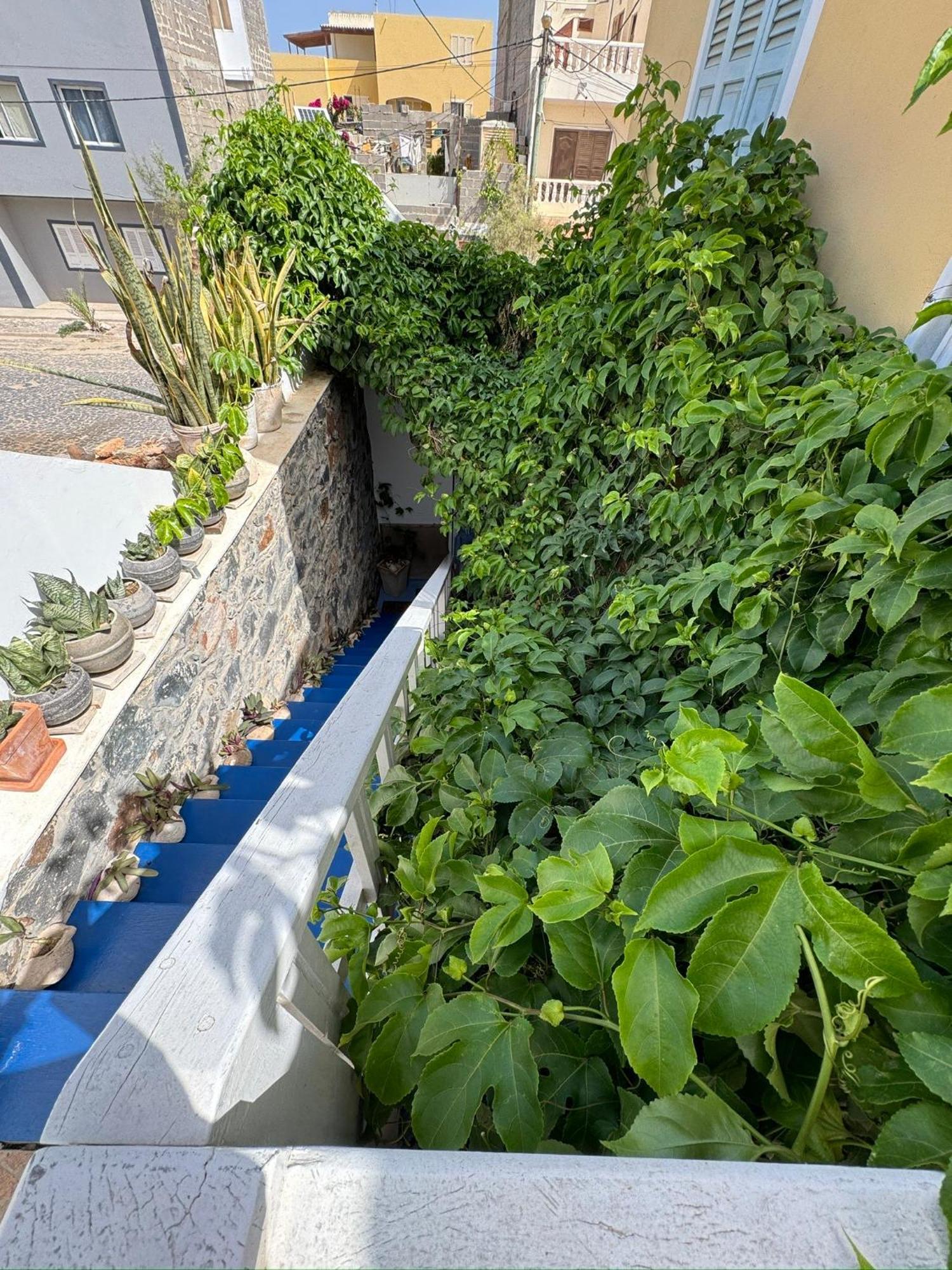 B&B Mi Ma Bo, Sal Rei, Boa Vista, Cape Verde, Free Wi-Fi Eksteriør bilde