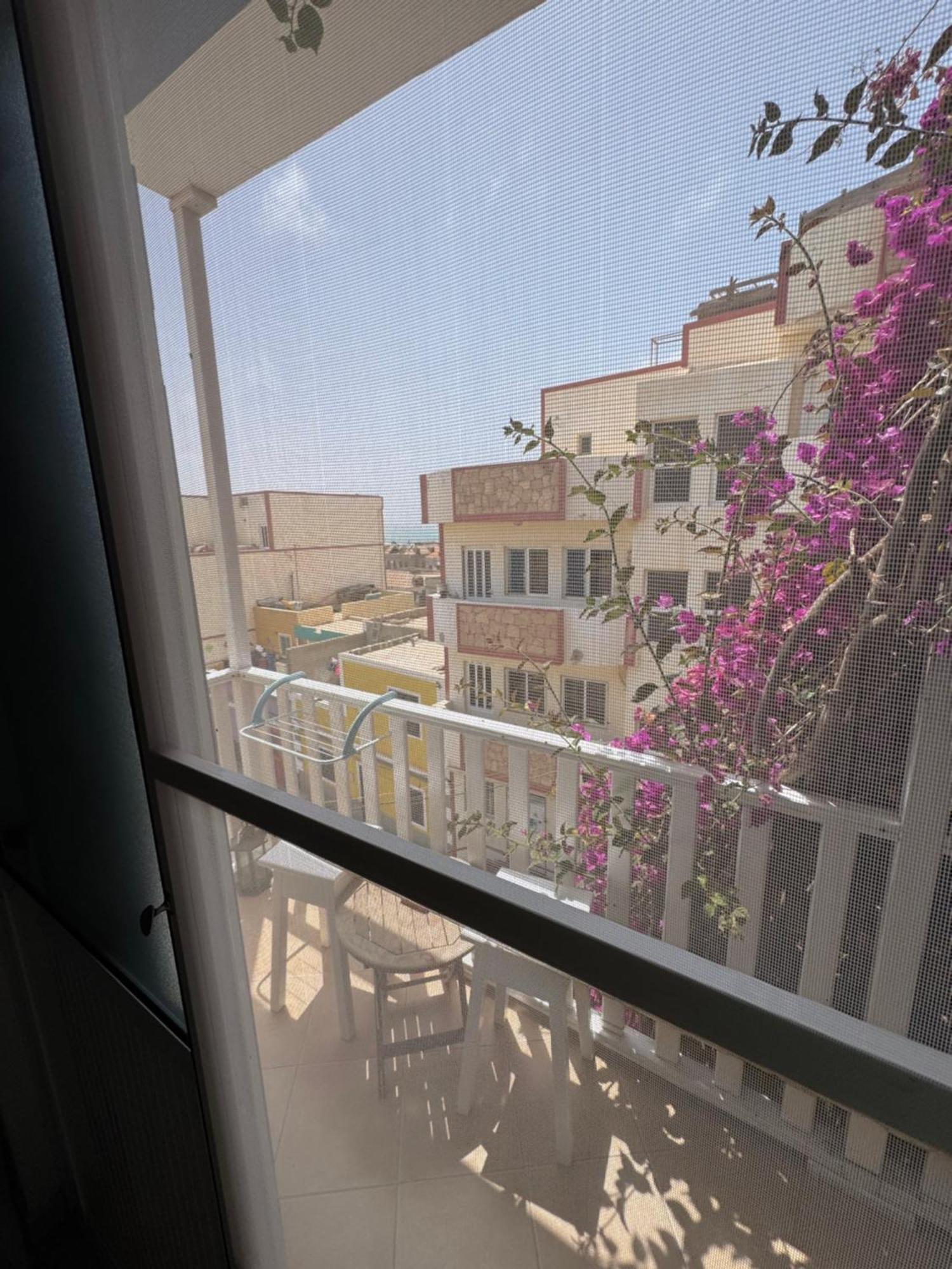 B&B Mi Ma Bo, Sal Rei, Boa Vista, Cape Verde, Free Wi-Fi Eksteriør bilde