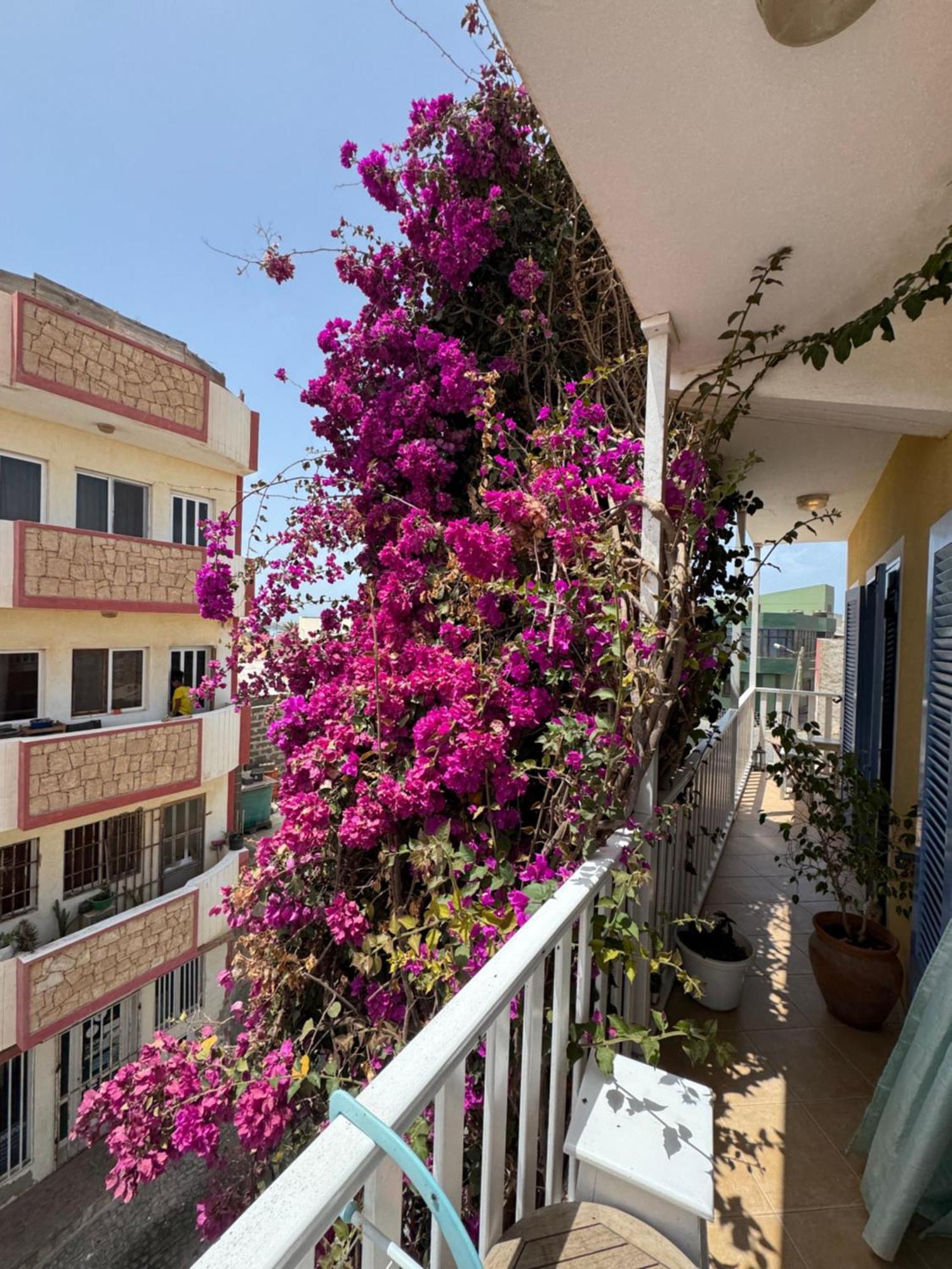 B&B Mi Ma Bo, Sal Rei, Boa Vista, Cape Verde, Free Wi-Fi Eksteriør bilde